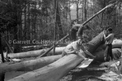 1142-Logging-Jenning44B91B