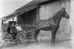 1175-Couple-in-Horse44B93D
