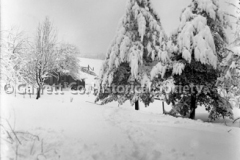 1831-Snow-Scene-676A