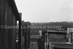 1963-Apiary-823A