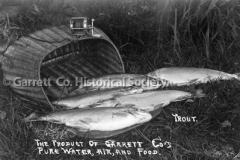 0487-Brook-Trout-487