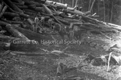 0348-Logs-and-Loggers-348