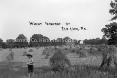 0559-Wheat-Harvest-E44B496